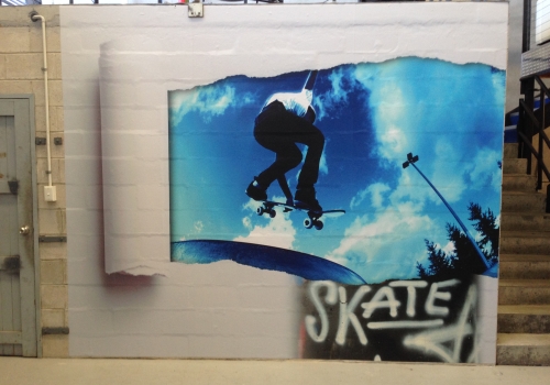 Skateboarding Wall Art
