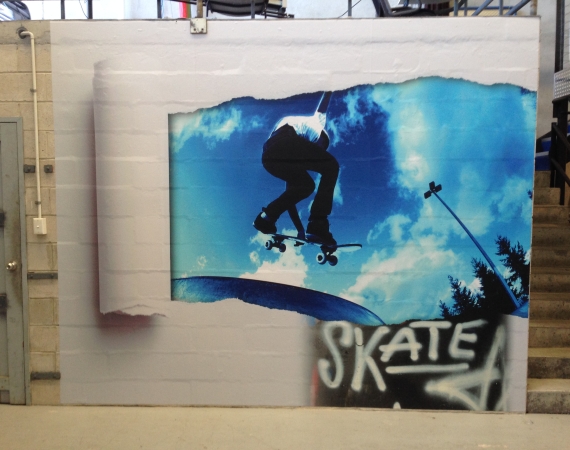 Skateboarding Wall Art